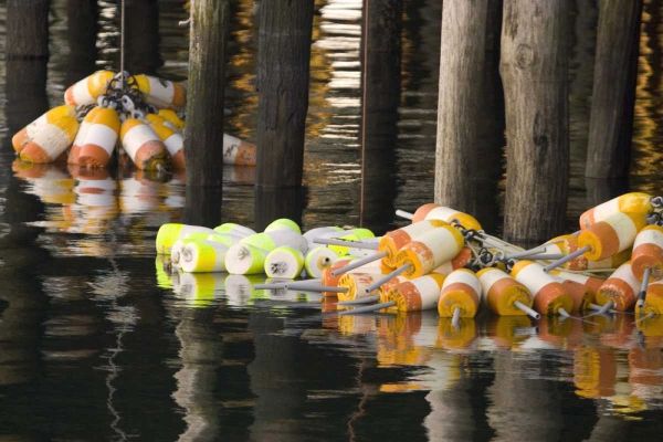 Maine Buoys floating next to a fishing pier